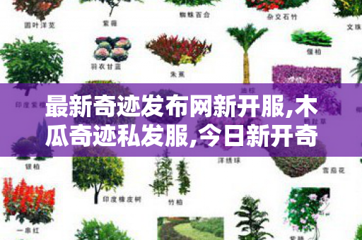 最新奇迹发布网新开服,木瓜奇迹私发服,今日新开奇迹私发服网,木瓜奇迹私发服