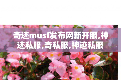 奇迹musf发布网新开服,神迹私服,奇私服,神迹私服