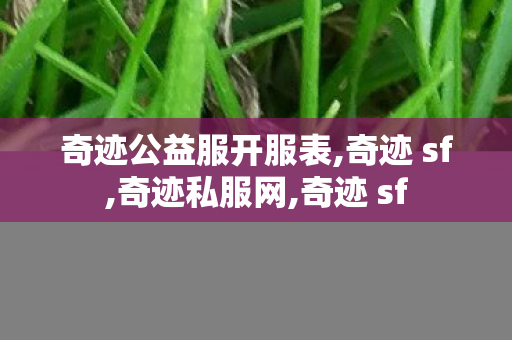 奇迹公益服开服表,奇迹 sf,奇迹私服网,奇迹 sf