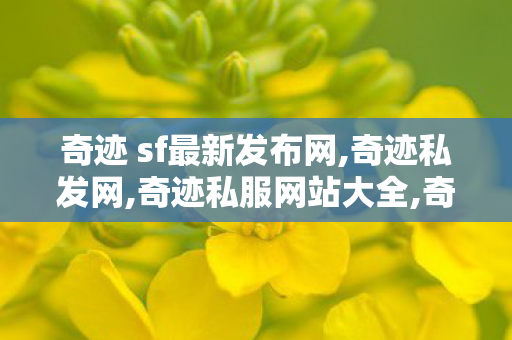 奇迹 sf最新发布网,奇迹私发网,奇迹私服网站大全,奇迹私发网