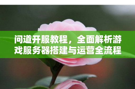 问道开服教程，全面解析游戏服务器搭建与运营全流程
