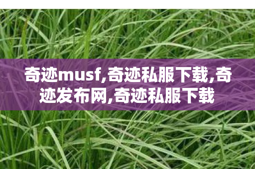 奇迹musf,奇迹私服下载,奇迹发布网,奇迹私服下载