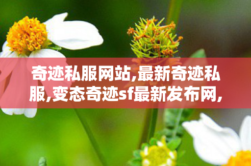 奇迹私服网站,最新奇迹私服,变态奇迹sf最新发布网,最新奇迹私服