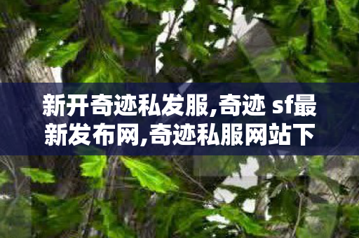 新开奇迹私发服,奇迹 sf最新发布网,奇迹私服网站下载,奇迹 sf最新发布网