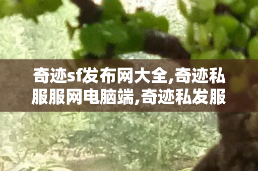 奇迹sf发布网大全,奇迹私服服网电脑端,奇迹私发服客户端,奇迹私服服网电脑端