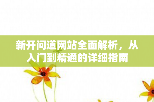 新开问道网站全面解析，从入门到精通的详细指南