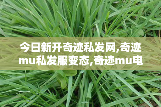 今日新开奇迹私发网,奇迹mu私发服变态,奇迹mu电脑私发服网,奇迹mu私发服变态