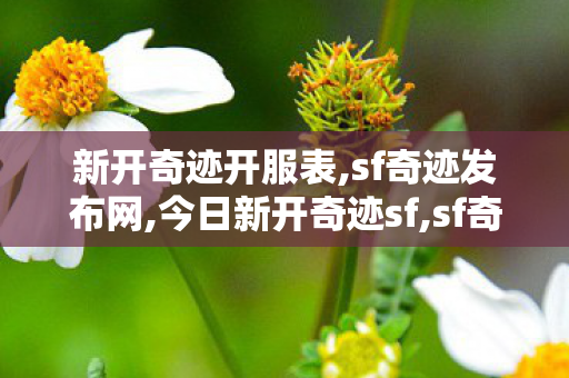 新开奇迹开服表,sf奇迹发布网,今日新开奇迹sf,sf奇迹发布网