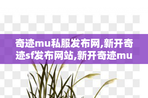 奇迹mu私服发布网,新开奇迹sf发布网站,新开奇迹mu网站,新开奇迹sf发布网站