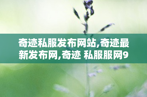 奇迹私服发布网站,奇迹最新发布网,奇迹 私服服网999,奇迹最新发布网