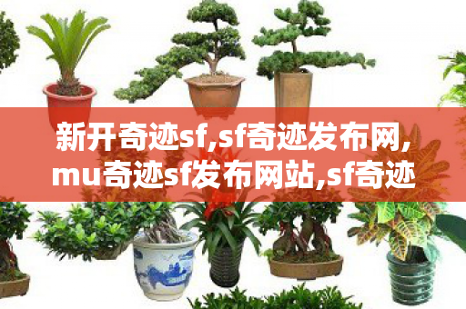 新开奇迹sf,sf奇迹发布网,mu奇迹sf发布网站,sf奇迹发布网