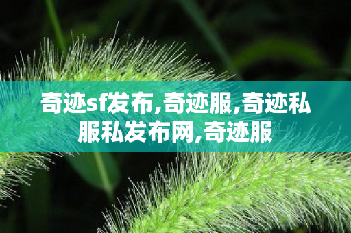 奇迹sf发布,奇迹服,奇迹私服私发布网,奇迹服