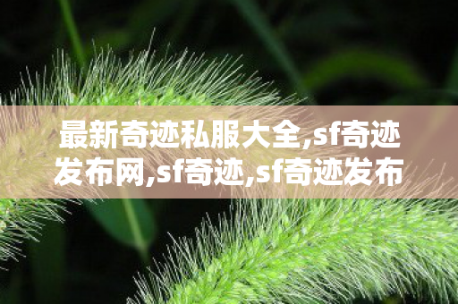 最新奇迹私服大全,sf奇迹发布网,sf奇迹,sf奇迹发布网