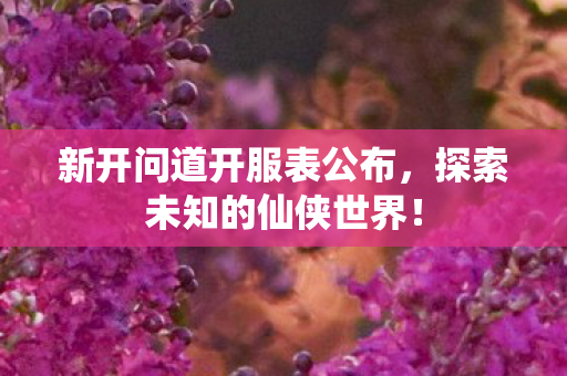 新开问道开服表公布，探索未知的仙侠世界！
