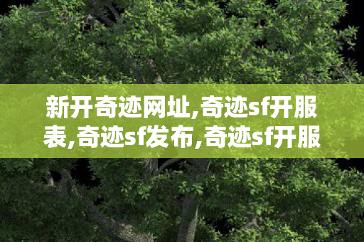 新开奇迹网址,奇迹sf开服表,奇迹sf发布,奇迹sf开服表