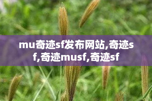 mu奇迹sf发布网站,奇迹sf,奇迹musf,奇迹sf