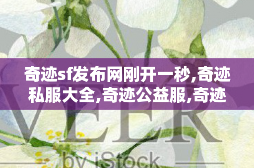 奇迹sf发布网刚开一秒,奇迹私服大全,奇迹公益服,奇迹私服大全