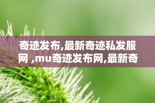 奇迹发布,最新奇迹私发服网 ,mu奇迹发布网,最新奇迹私发服网