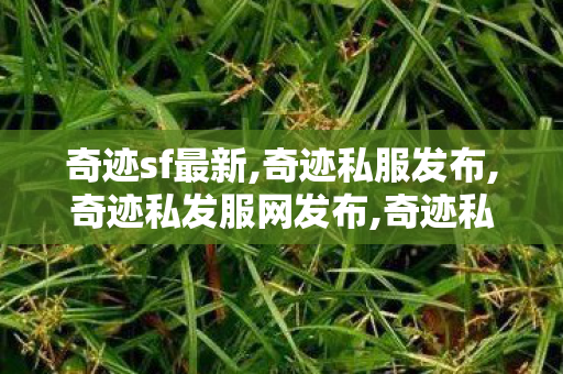 奇迹sf最新,奇迹私服发布,奇迹私发服网发布,奇迹私服发布