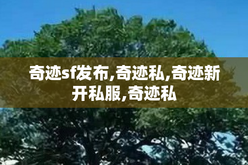 奇迹sf发布,奇迹私,奇迹新开私服,奇迹私