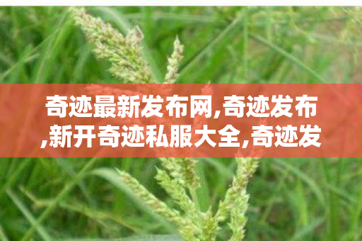 奇迹最新发布网,奇迹发布,新开奇迹私服大全,奇迹发布