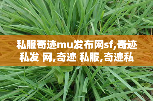 私服奇迹mu发布网sf,奇迹私发 网,奇迹 私服,奇迹私发 网