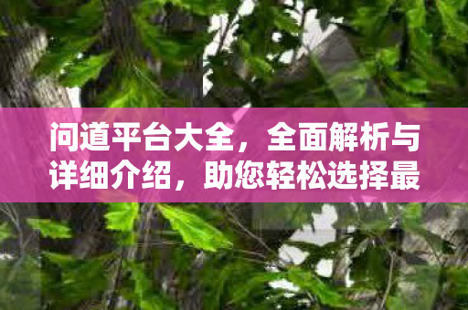 问道平台大全，全面解析与详细介绍，助您轻松选择最佳平台
