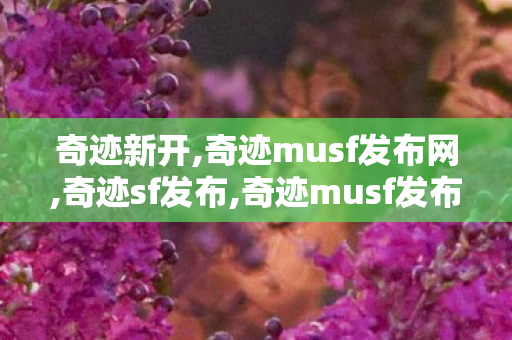 奇迹新开,奇迹musf发布网,奇迹sf发布,奇迹musf发布网
