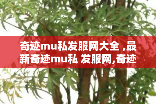 奇迹mu私发服网大全 ,最新奇迹mu私 发服网,奇迹世界sf,最新奇迹mu私 发服网