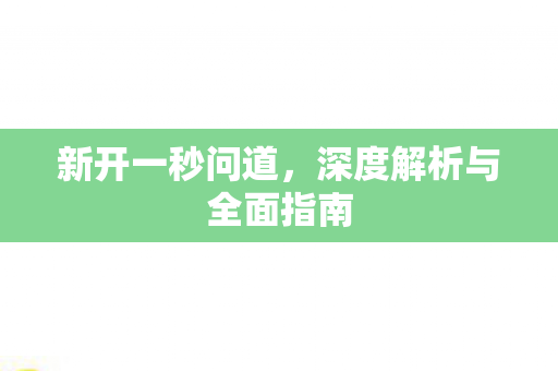 新开一秒问道，深度解析与全面指南