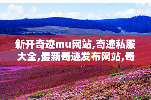 新开奇迹mu网站,奇迹私服大全,最新奇迹发布网站,奇迹私服大全