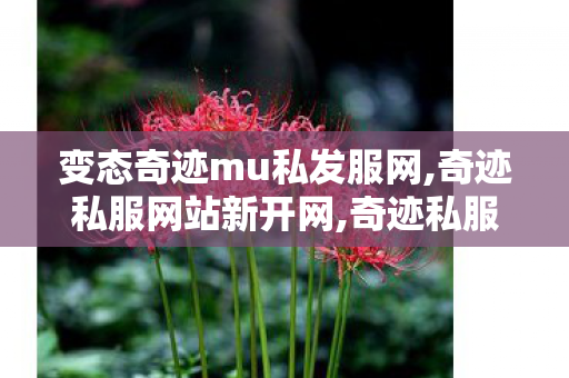 变态奇迹mu私发服网,奇迹私服网站新开网,奇迹私服基地,奇迹私服网站新开网