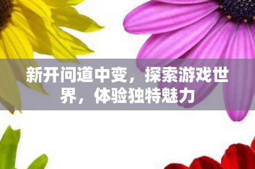 新开问道中变，探索游戏世界，体验独特魅力