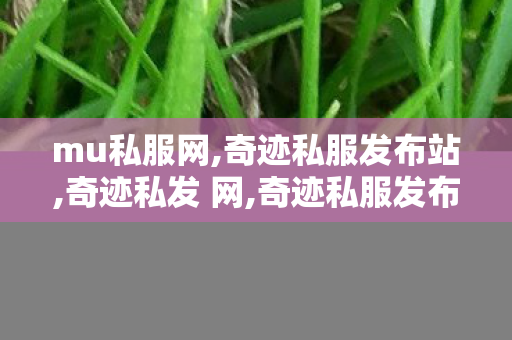 mu私服网,奇迹私服发布站,奇迹私发 网,奇迹私服发布站