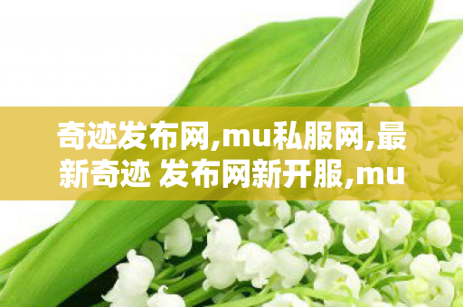 奇迹发布网,mu私服网,最新奇迹 发布网新开服,mu私服网