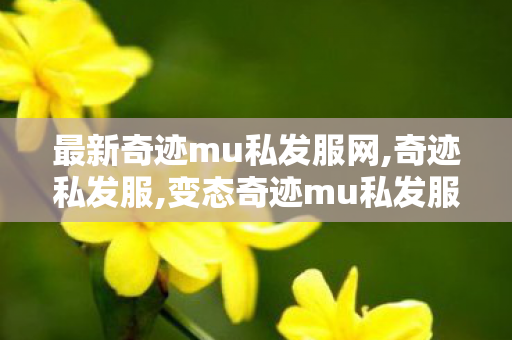 最新奇迹mu私发服网,奇迹私发服,变态奇迹mu私发服网,奇迹私发服