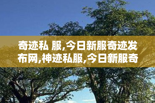 奇迹私 服,今日新服奇迹发布网,神迹私服,今日新服奇迹发布网