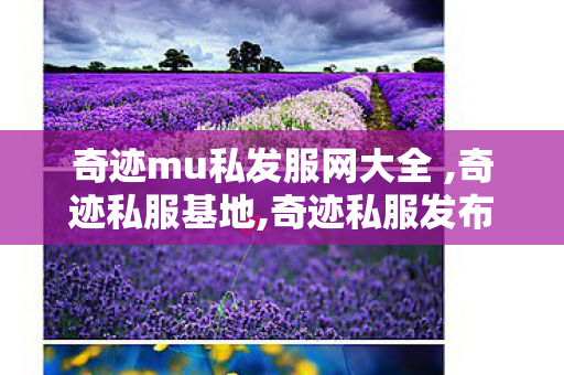 奇迹mu私发服网大全 ,奇迹私服基地,奇迹私服发布网站,奇迹私服基地