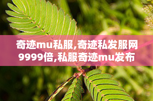 奇迹mu私服,奇迹私发服网9999倍,私服奇迹mu发布网sf,奇迹私发服网9999倍