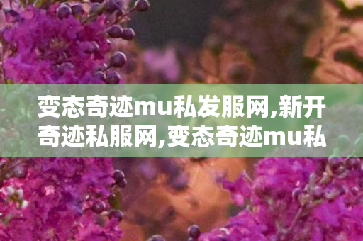 变态奇迹mu私发服网,新开奇迹私服网,变态奇迹mu私发服网,新开奇迹私服网