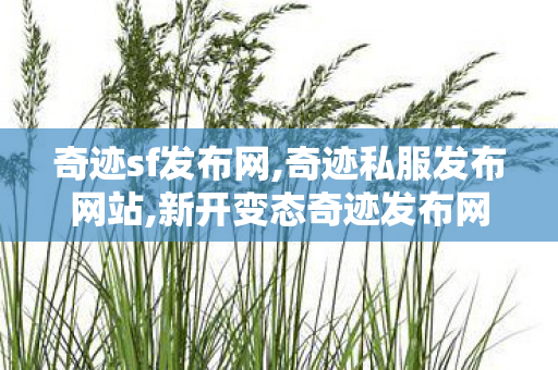 奇迹sf发布网,奇迹私服发布网站,新开变态奇迹发布网,奇迹私服发布网站