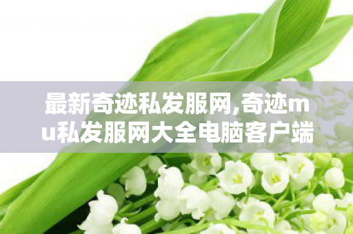 最新奇迹私发服网,奇迹mu私发服网大全电脑客户端,最新奇迹私服,奇迹mu私发服网大全电脑客户端