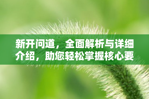 新开问道，全面解析与详细介绍，助您轻松掌握核心要点