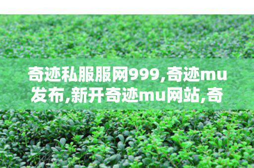 奇迹私服服网999,奇迹mu发布,新开奇迹mu网站,奇迹mu发布