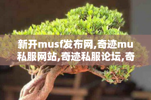 新开musf发布网,奇迹mu私服网站,奇迹私服论坛,奇迹mu私服网站