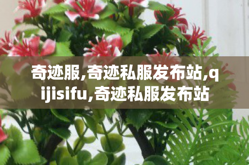 奇迹服,奇迹私服发布站,qijisifu,奇迹私服发布站