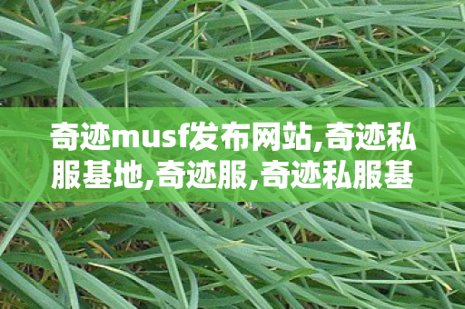 奇迹musf发布网站,奇迹私服基地,奇迹服,奇迹私服基地