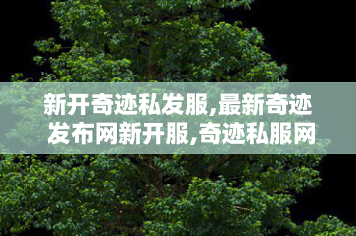 新开奇迹私发服,最新奇迹 发布网新开服,奇迹私服网大全,最新奇迹 发布网新开服