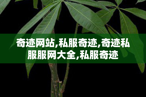 奇迹网站,私服奇迹,奇迹私服服网大全,私服奇迹