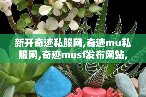 新开奇迹私服网,奇迹mu私服网,奇迹musf发布网站,奇迹mu私服网